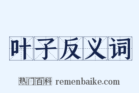 叶子反义词是什么意思的图片